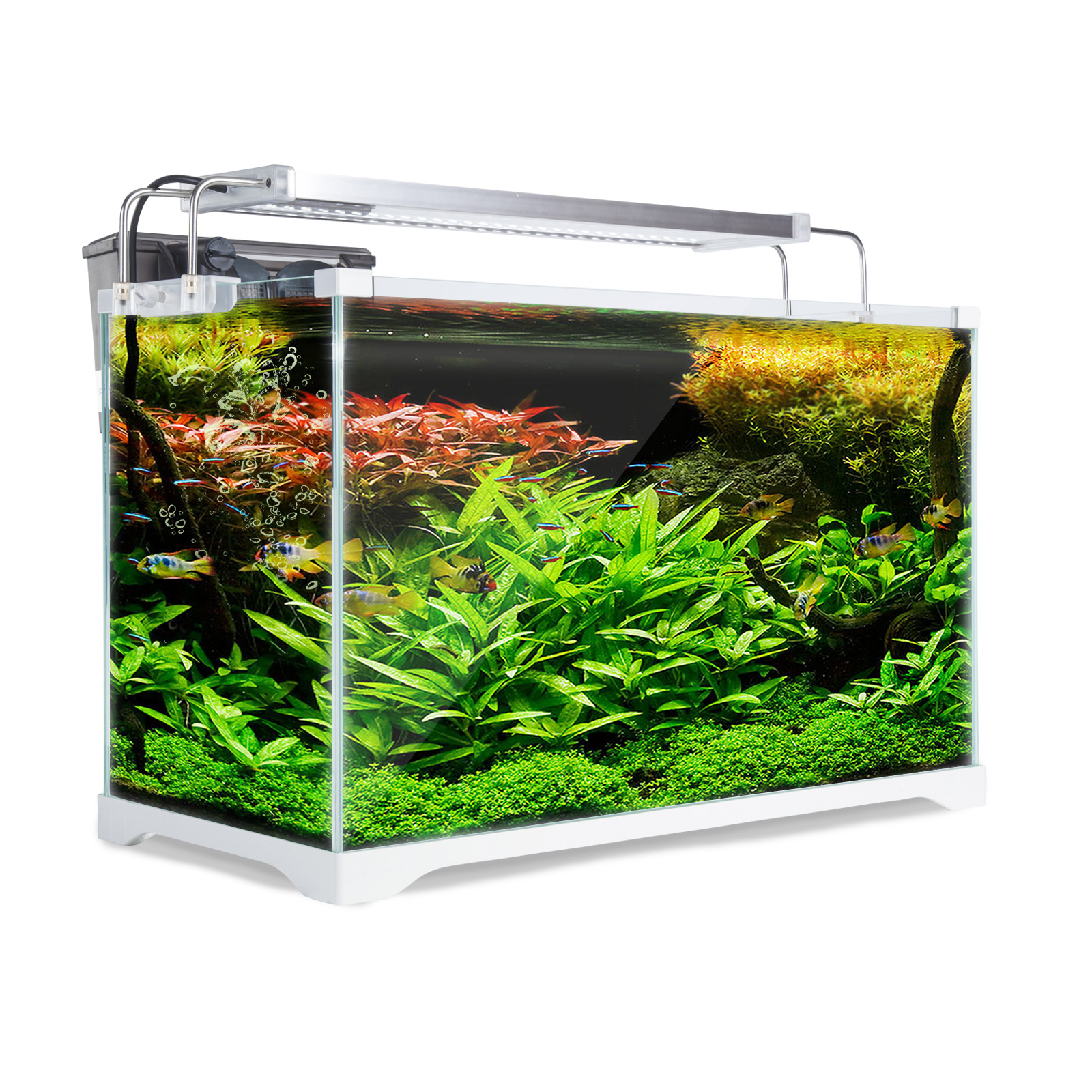 (SALE) 39L Starfire Glass Aquarium Fish Tank
