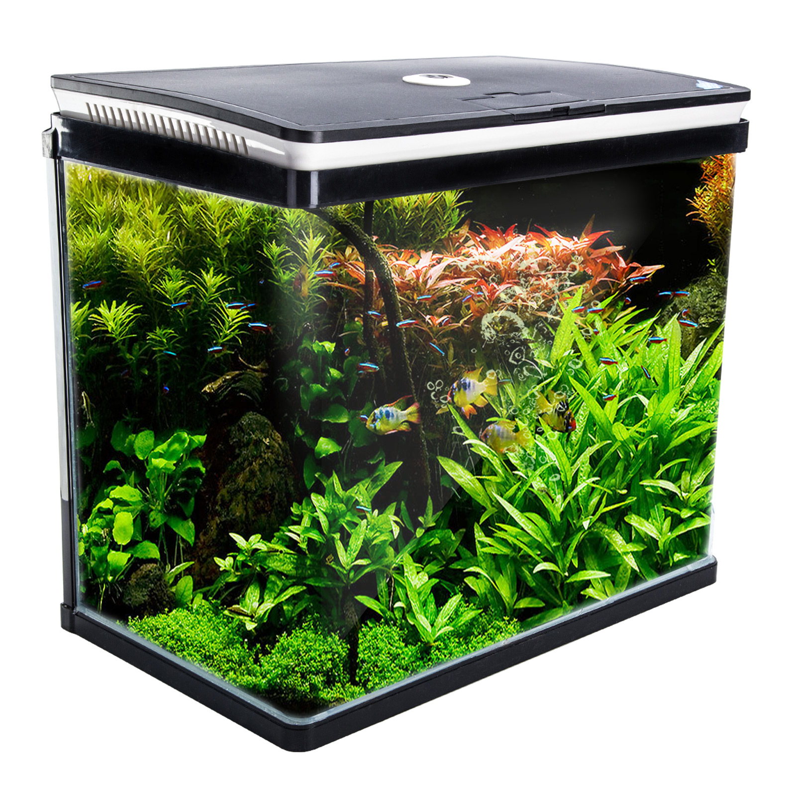 (SALE) 52L Curved Glass RGB LED Aquarium Fish Tank