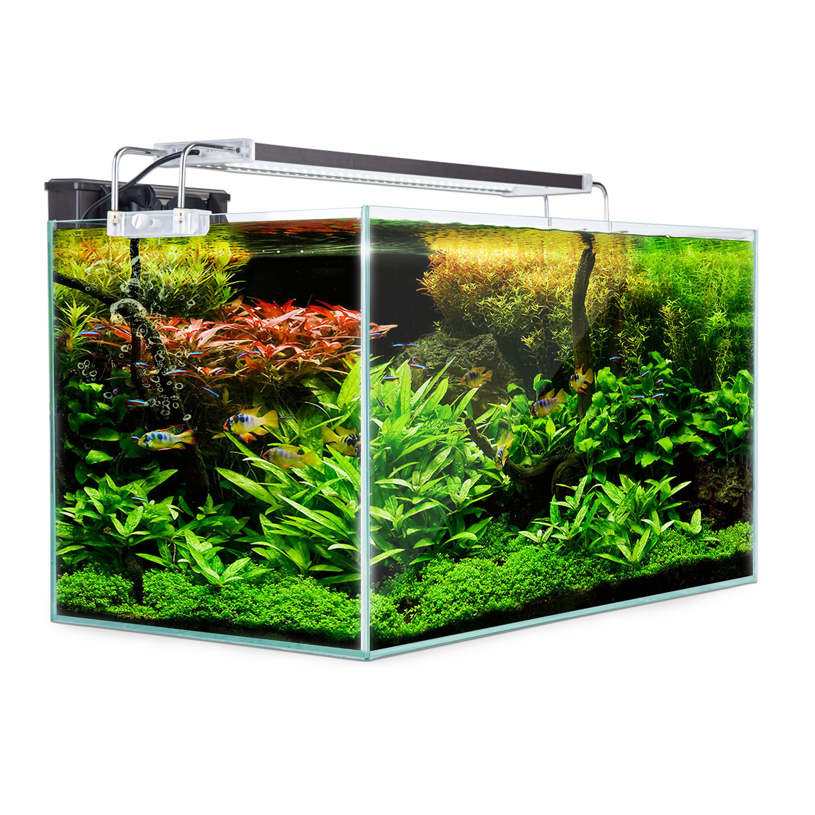 (SALE) 70L Starfire Glass Aquarium Fish Tank