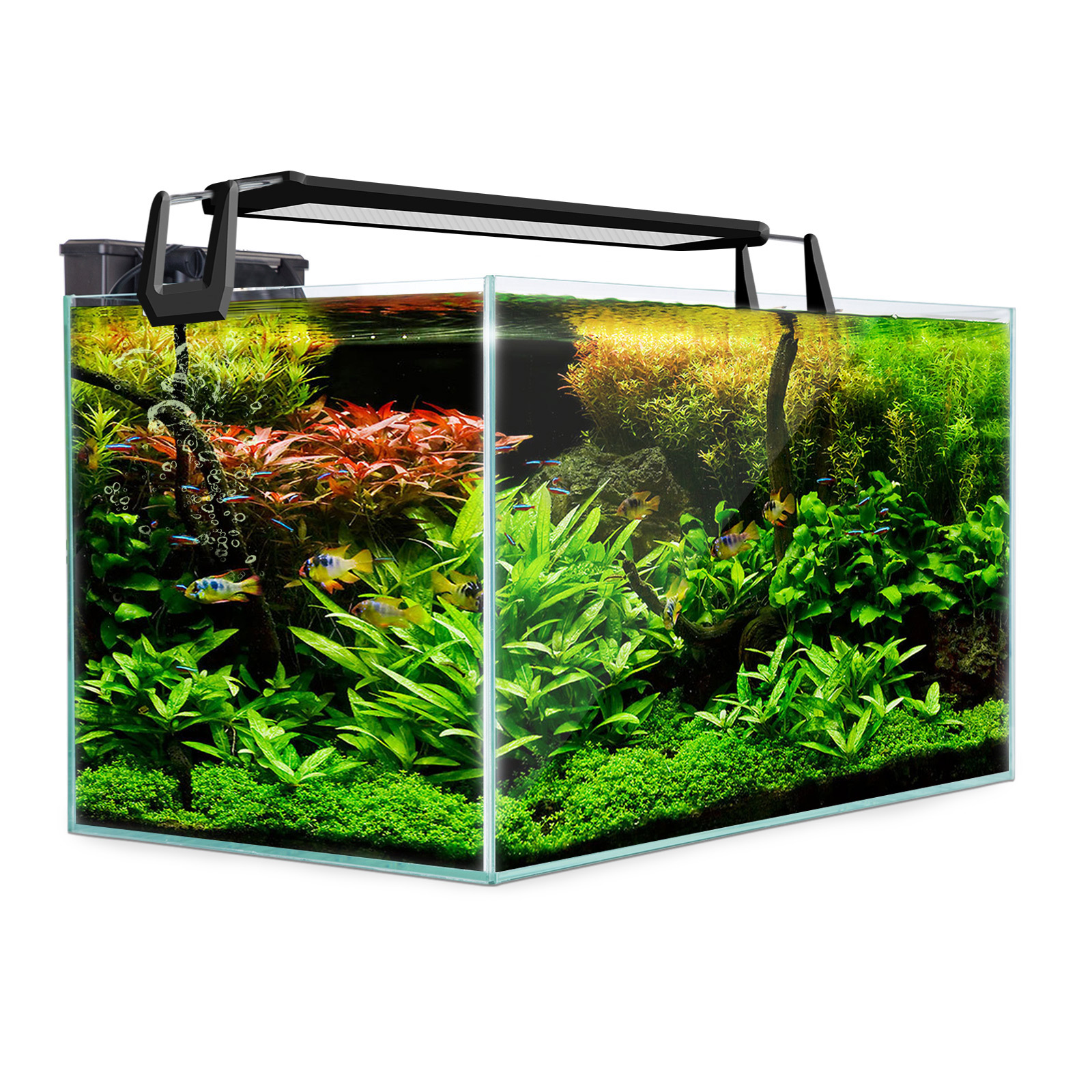 70L Starfire Glass Aquarium Fish Tank
