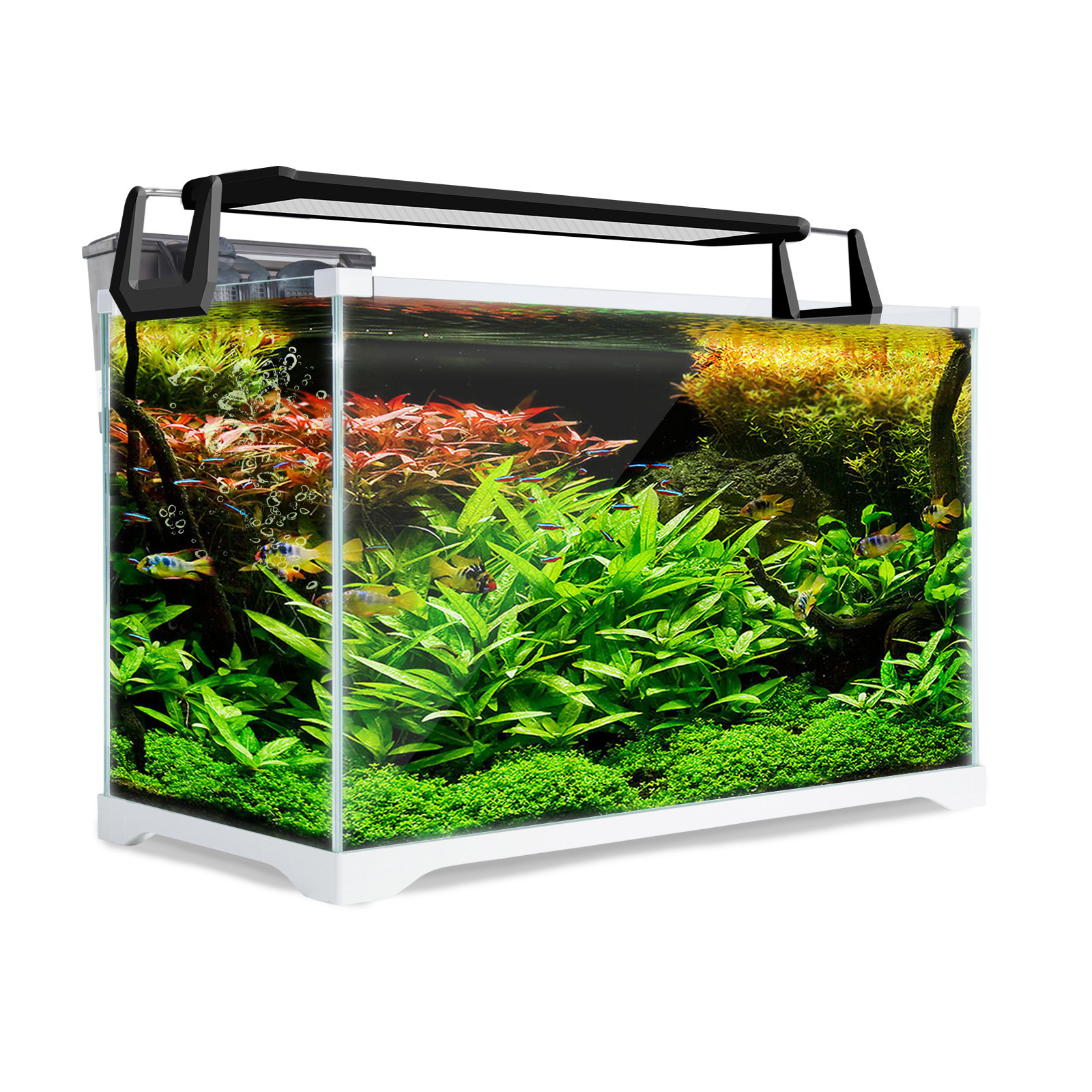 39L Starfire Glass Aquarium Fish Tank - Dynamic Power