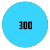 300 Sheets